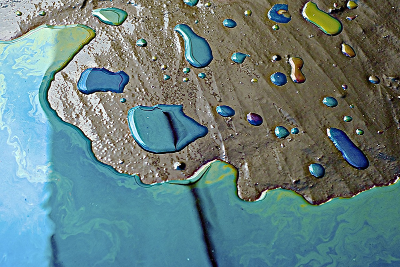 Eine Beschichtung mit einer interpenetrierenden 3D-Netzwerkstruktur wurde verwendet, um einen robusten, superhydrophoben und magnetischen Schwamm herzustellen.